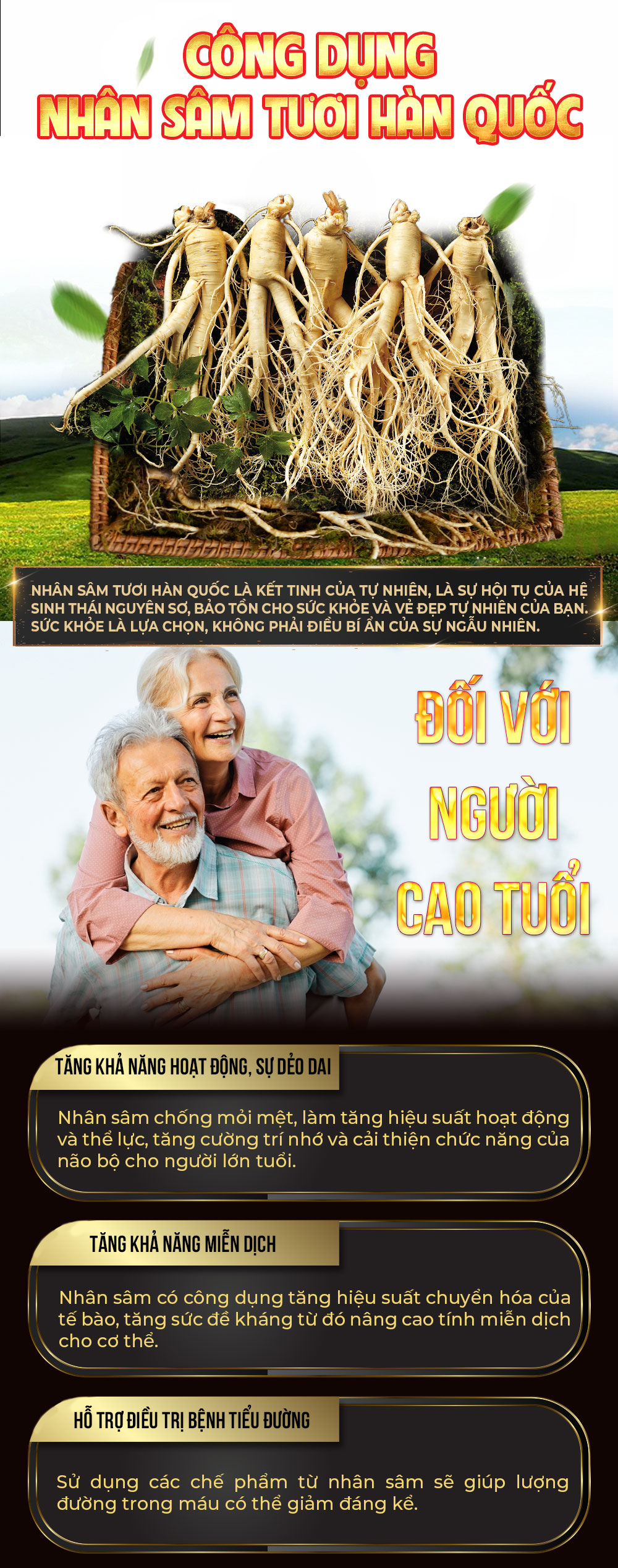 1742018723 51 Nhan Sam Tuoi Han Quoc 6 Nam Tuoi VIP 1