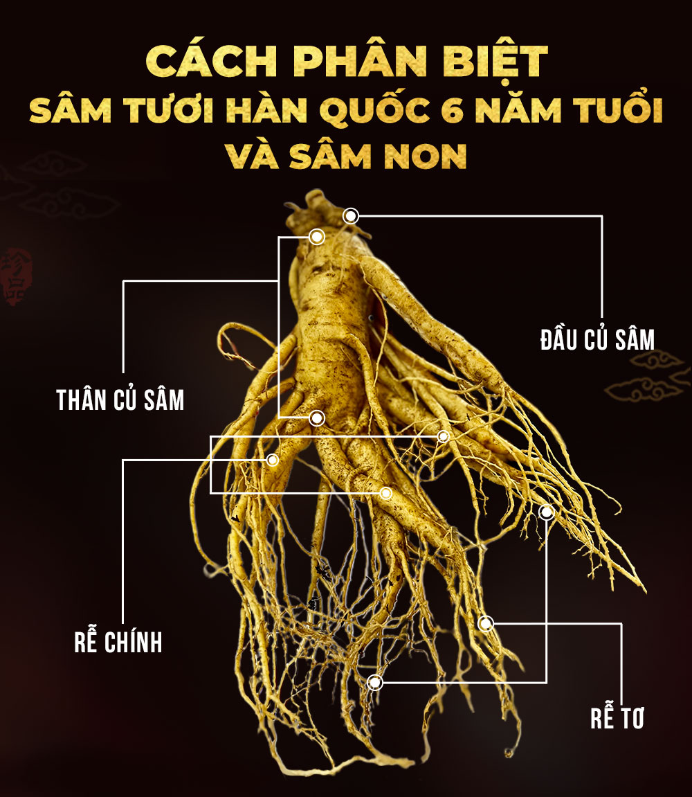 1742018723 797 Nhan Sam Tuoi Han Quoc 6 Nam Tuoi VIP 1