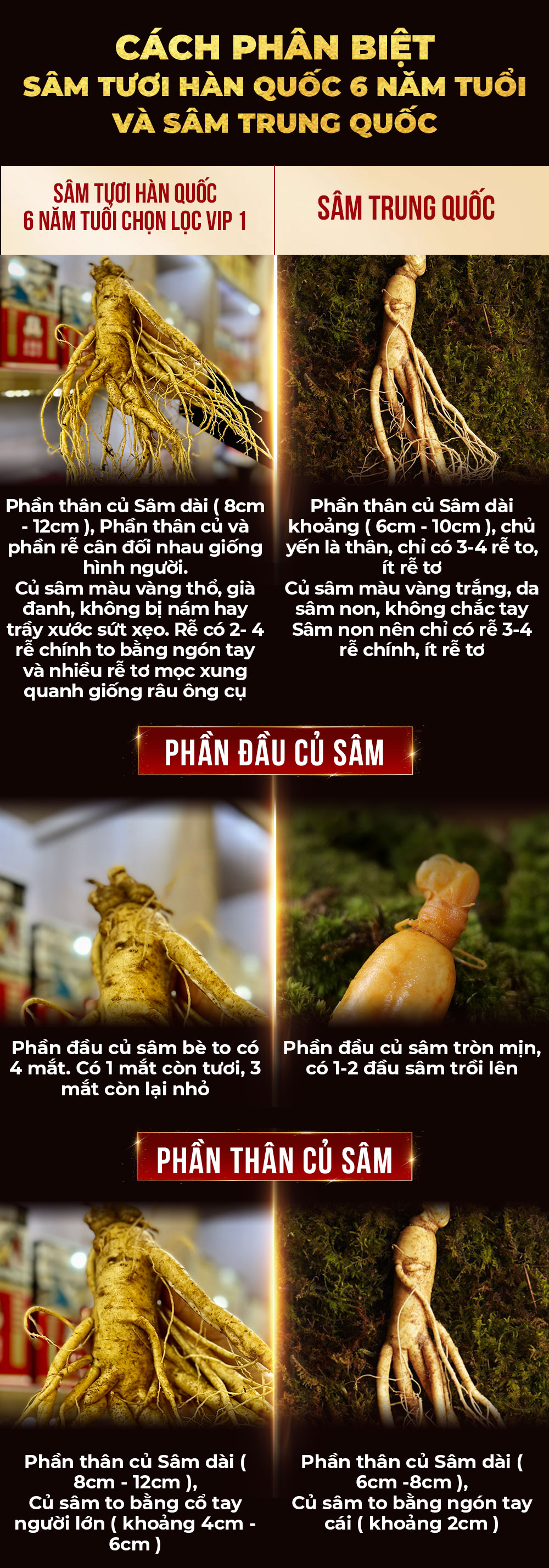 1742018724 270 Nhan Sam Tuoi Han Quoc 6 Nam Tuoi VIP 1
