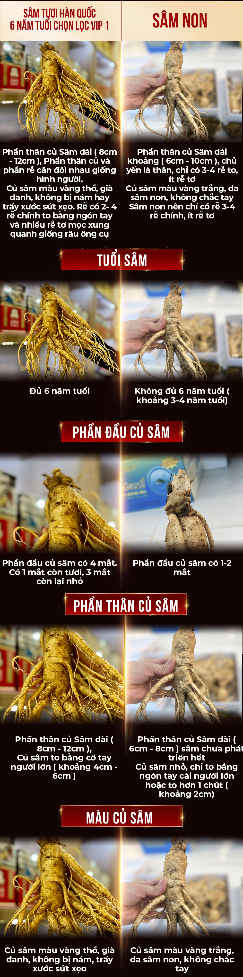 1742018724 439 Nhan Sam Tuoi Han Quoc 6 Nam Tuoi VIP 1