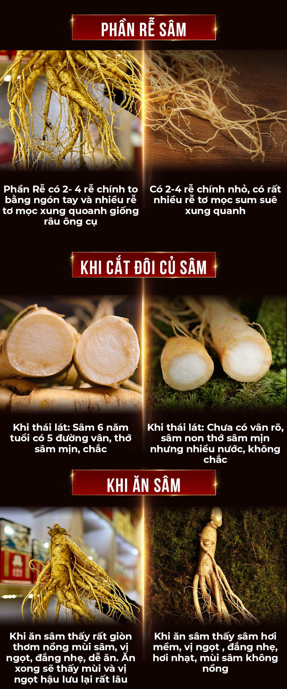1742018724 493 Nhan Sam Tuoi Han Quoc 6 Nam Tuoi VIP 1