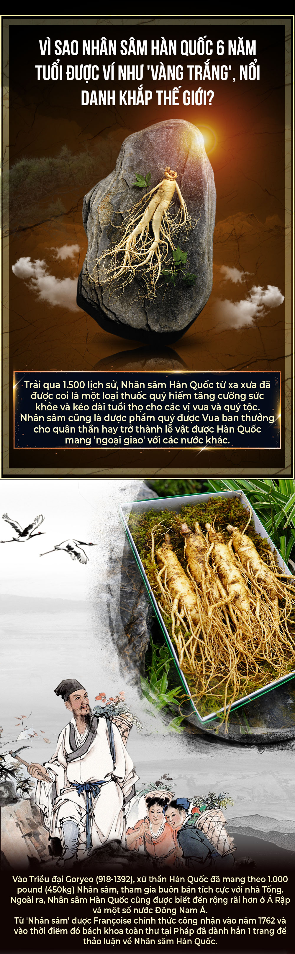 1742018774 204 Nhan Sam Tuoi Han Quoc 6 Nam Tuoi Loai 5