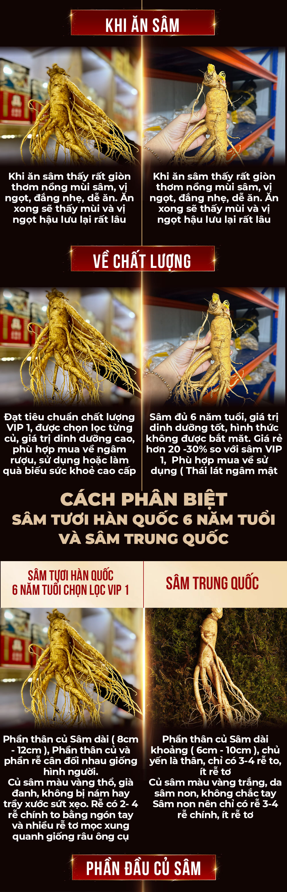1742018775 129 Nhan Sam Tuoi Han Quoc 6 Nam Tuoi Loai 5