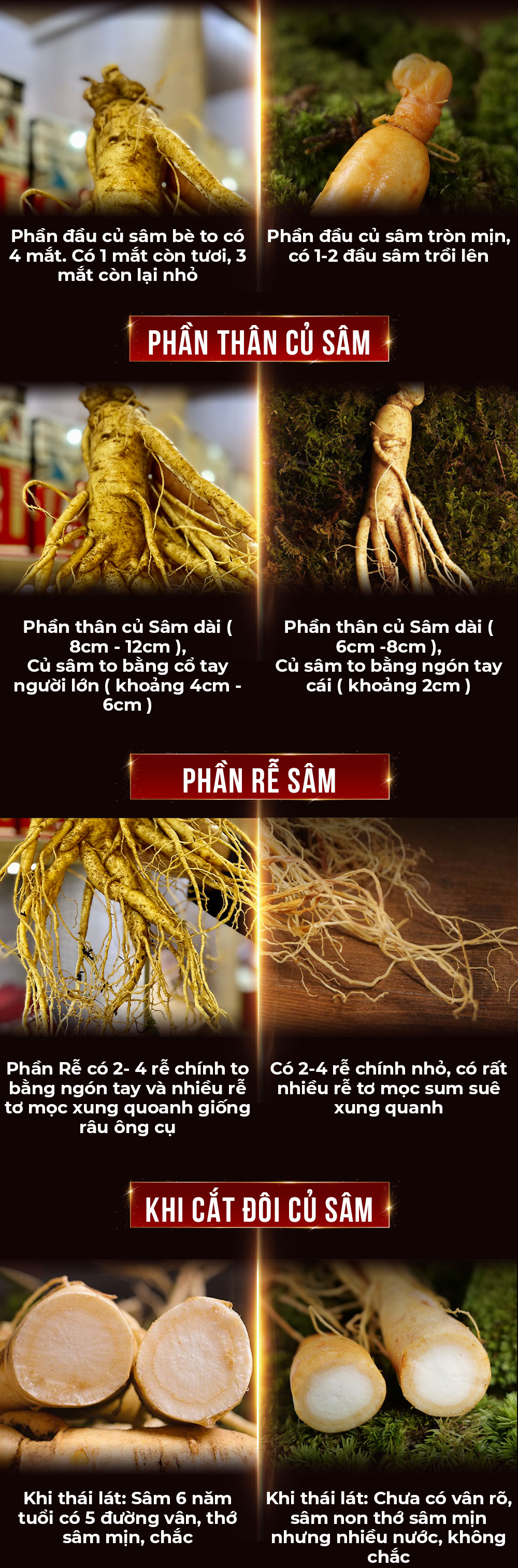 1742018775 145 Nhan Sam Tuoi Han Quoc 6 Nam Tuoi Loai 5