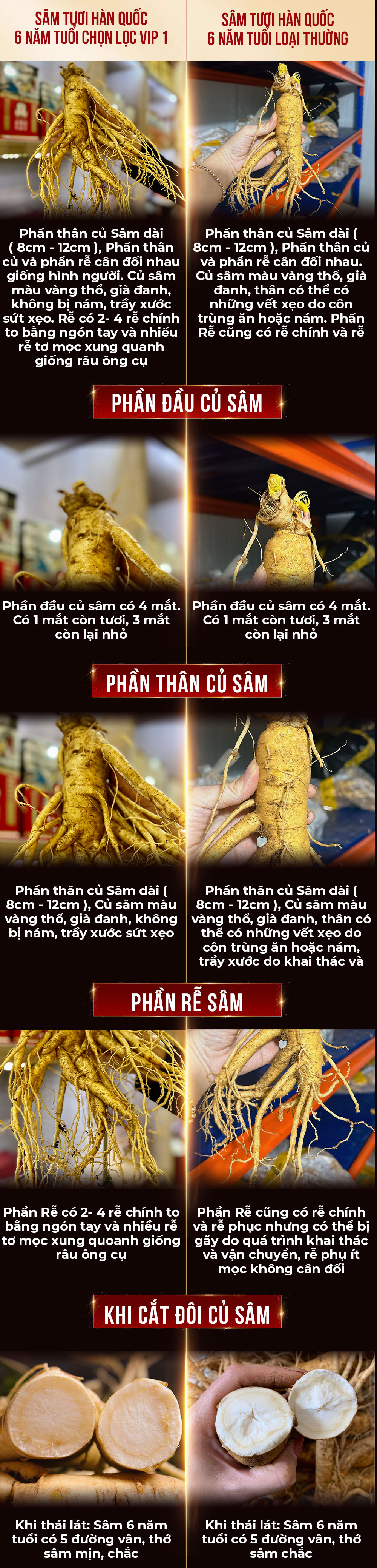 1742018775 570 Nhan Sam Tuoi Han Quoc 6 Nam Tuoi Loai 5