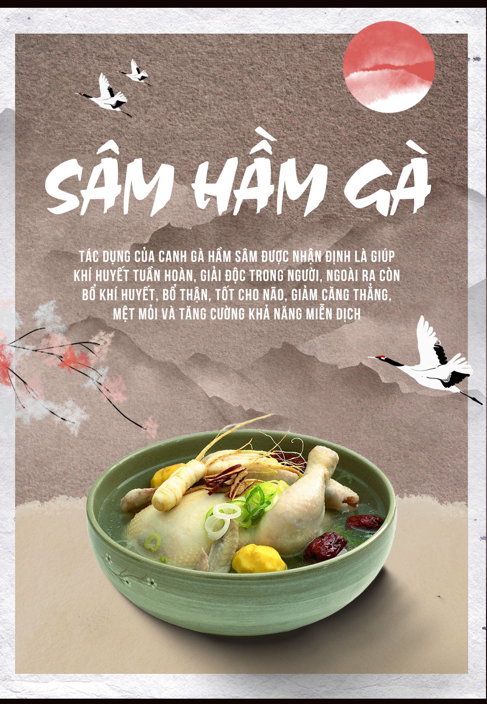 1742018776 901 Nhan Sam Tuoi Han Quoc 6 Nam Tuoi Loai 5