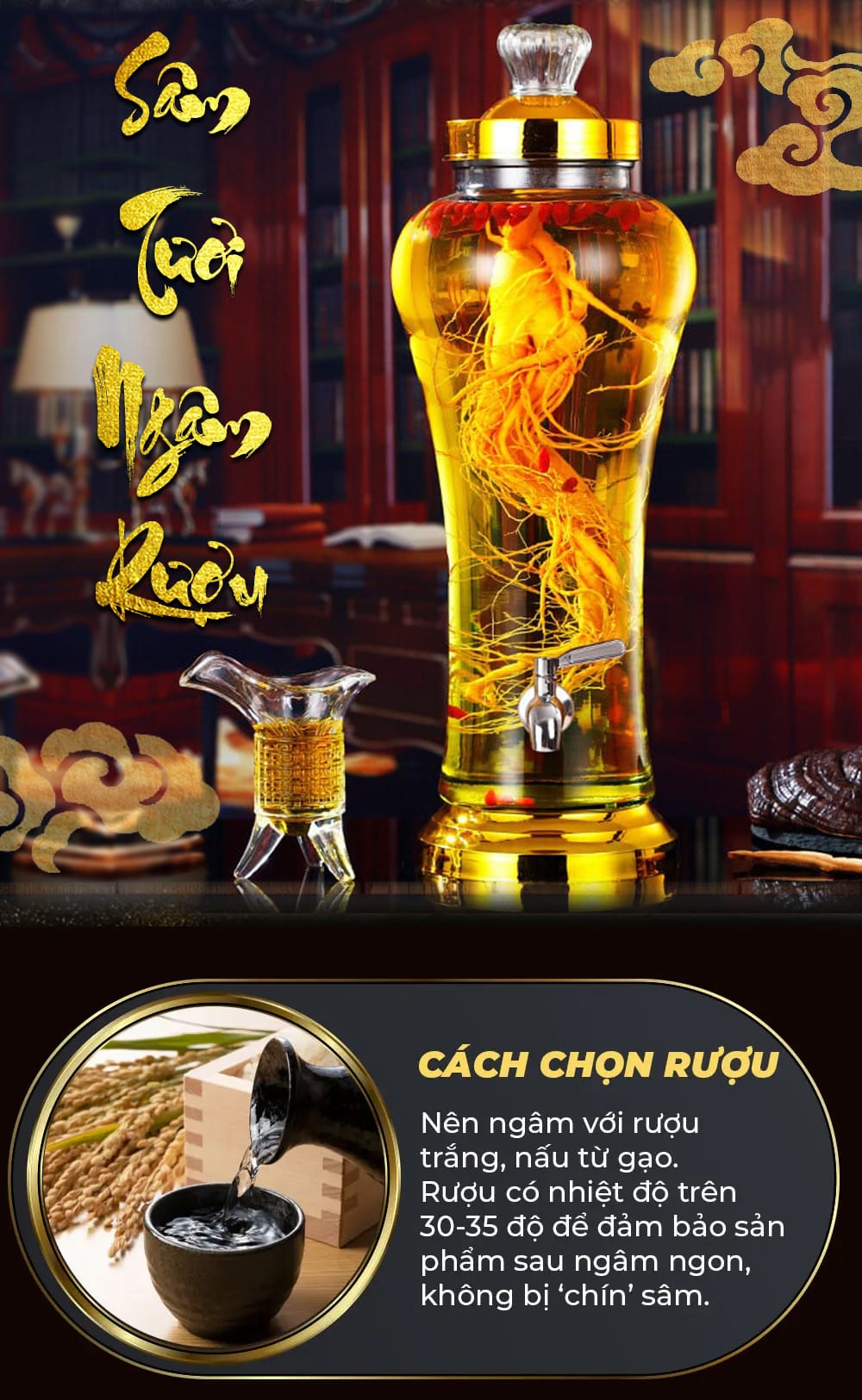 cong dung sam tuoi 31