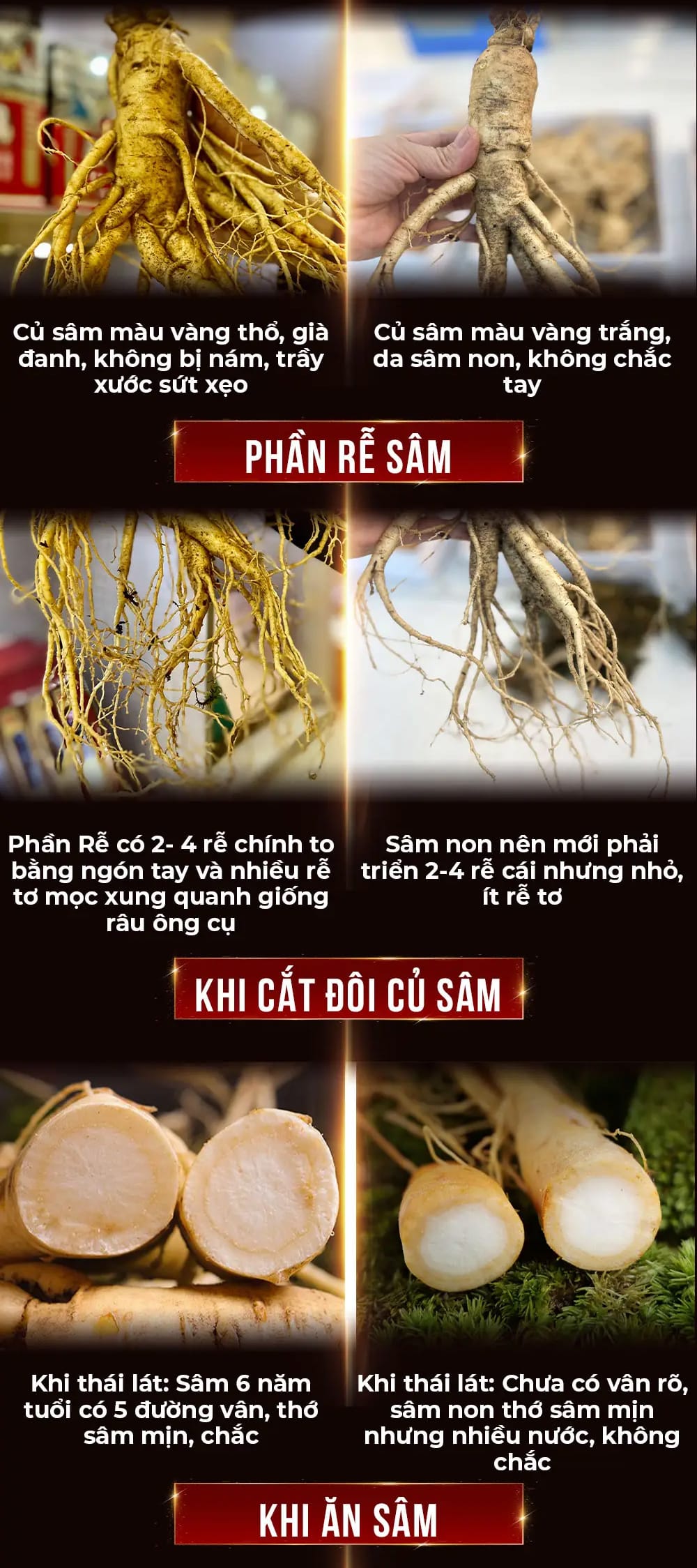 cong dung sam tuoi 38