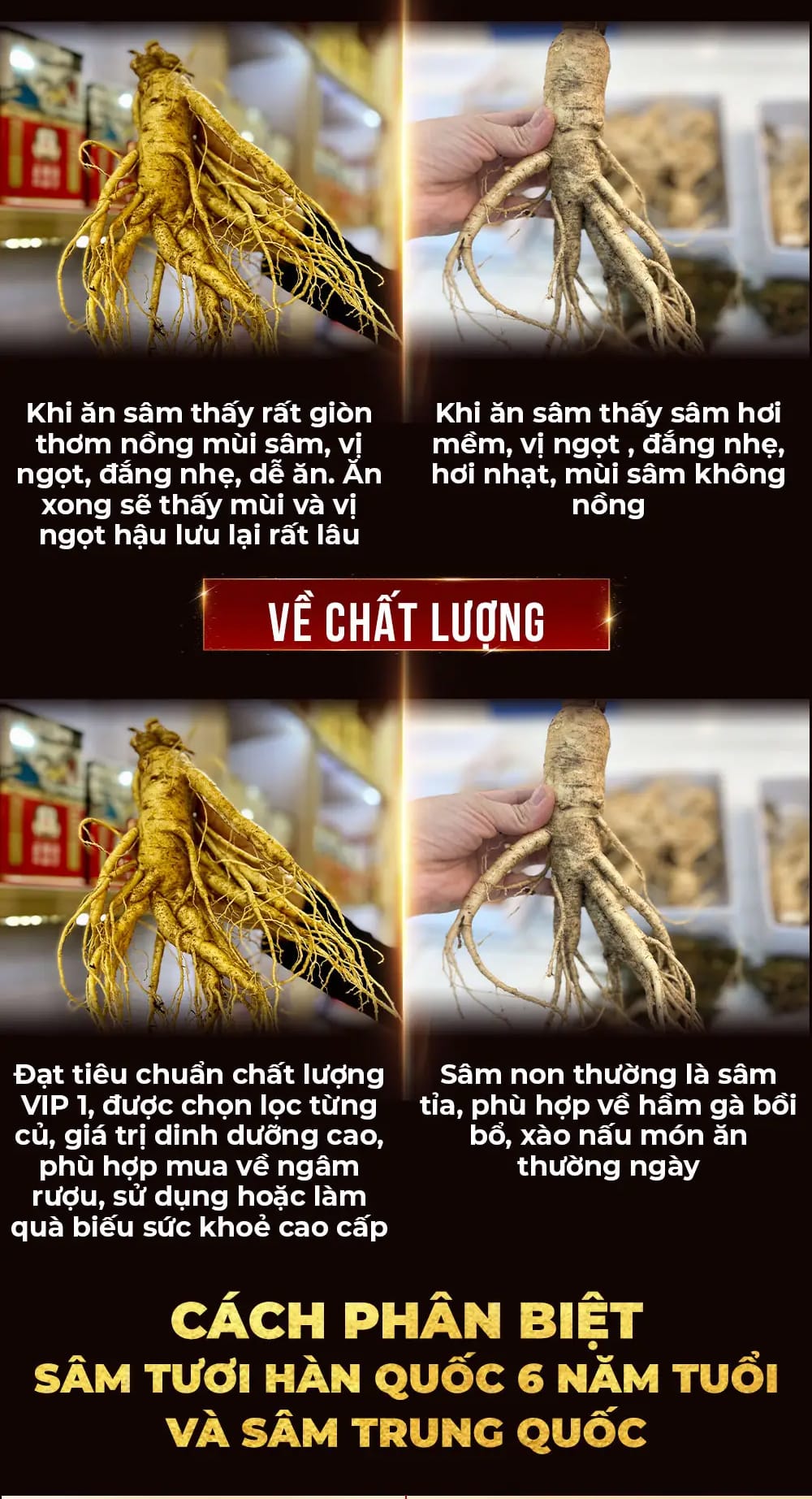 cong dung sam tuoi 39