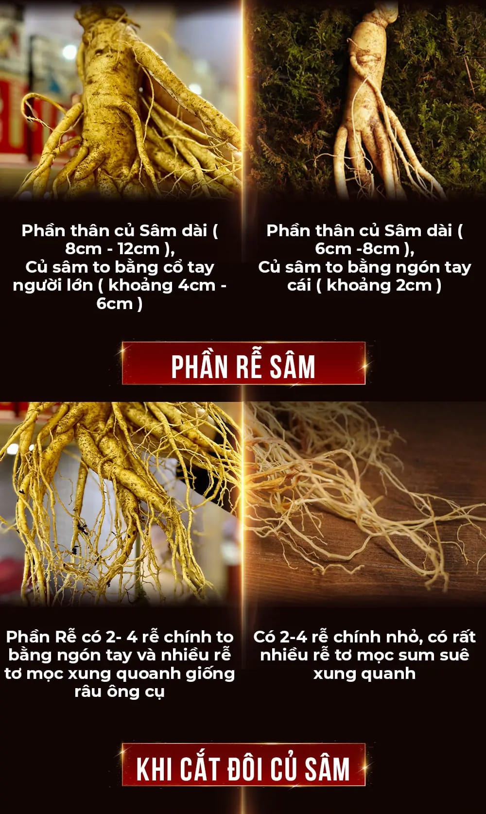 huong dan su dung sam tuoi 11