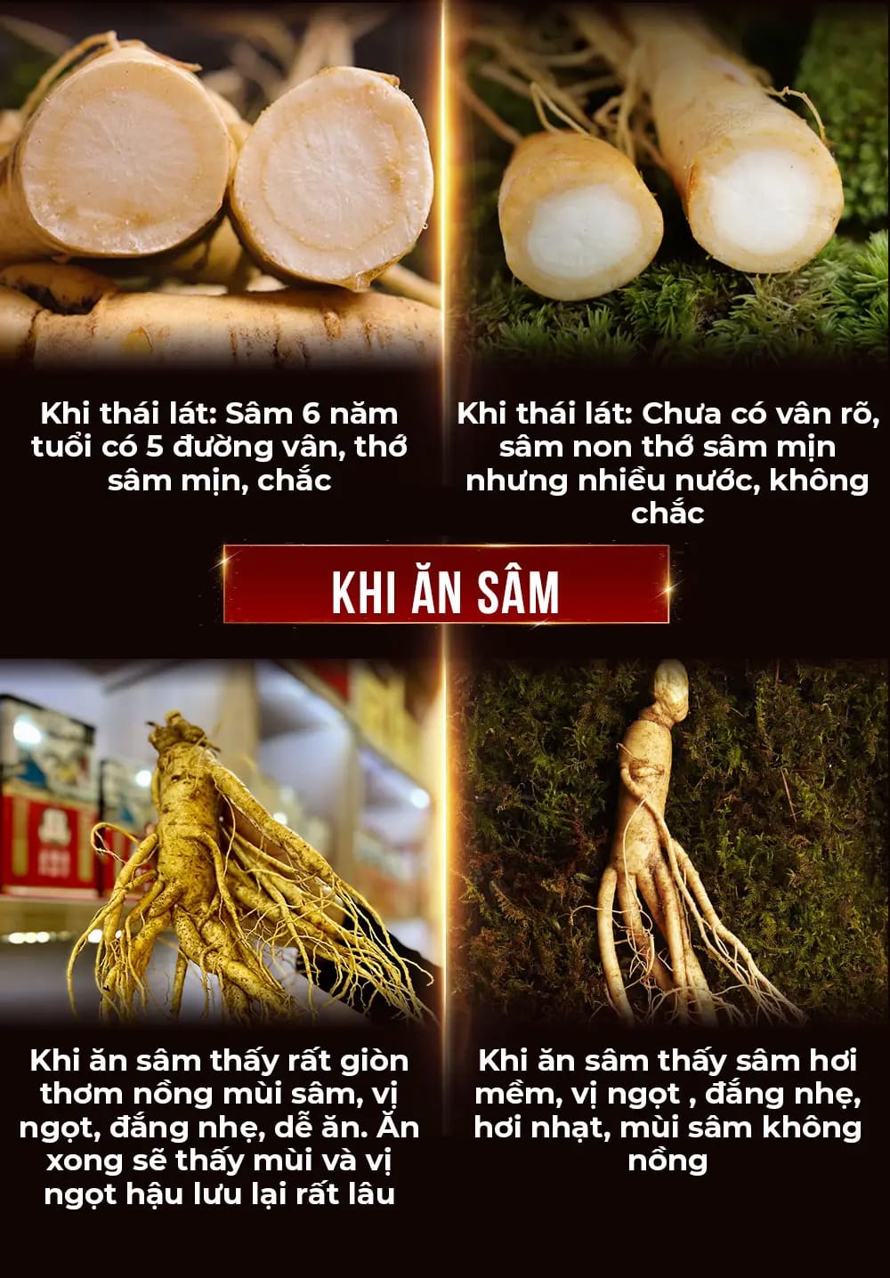 huong dan su dung sam tuoi 12