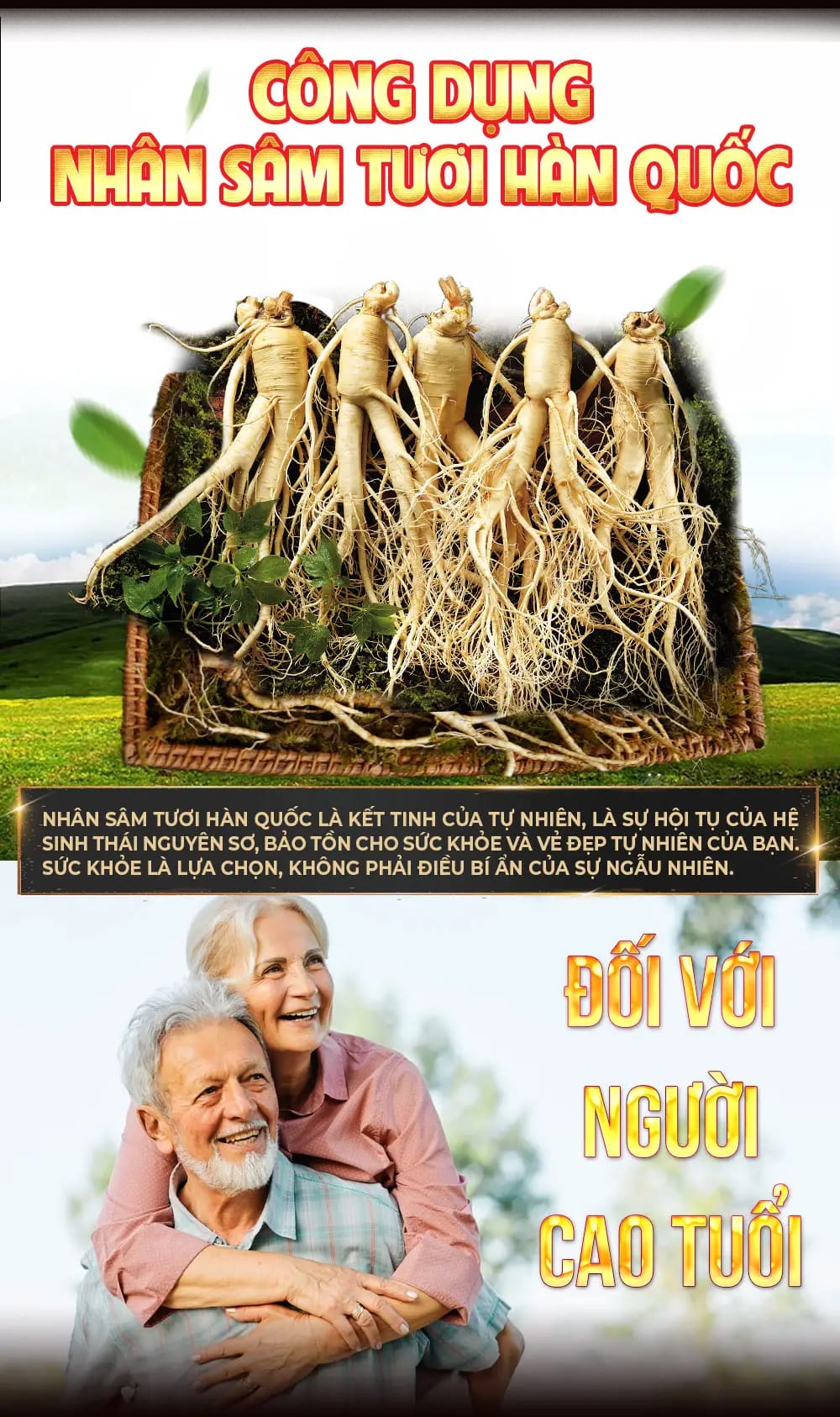 huong dan su dung sam tuoi 13