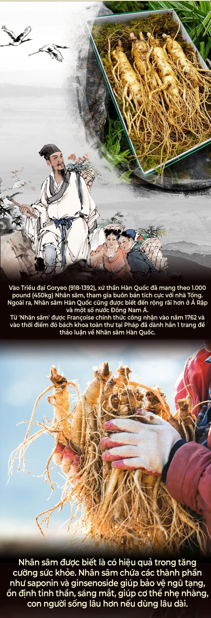 huong dan su dung sam tuoi 5 scaled