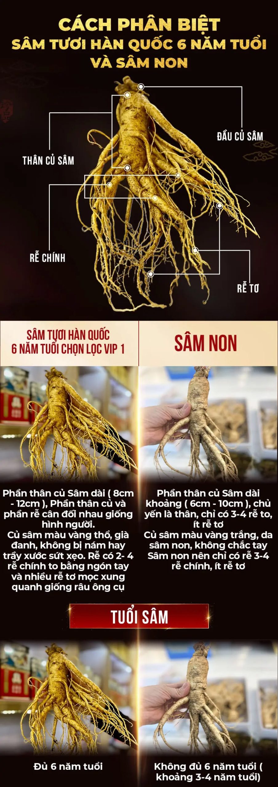 huong dan su dung sam tuoi 6 scaled