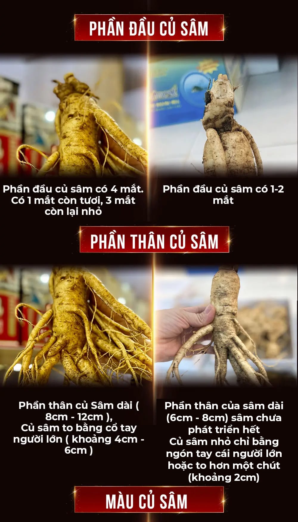 huong dan su dung sam tuoi 7